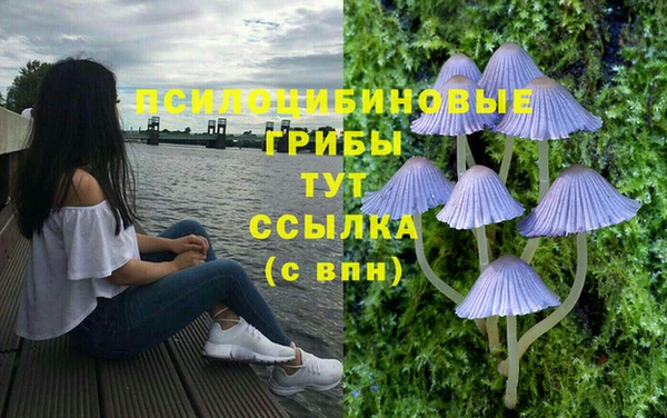 винт Аркадак